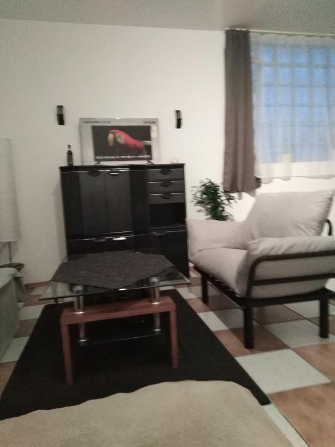 Studiowohnung, Neu Renoviert, Zentrale Lage * Sarrelouis