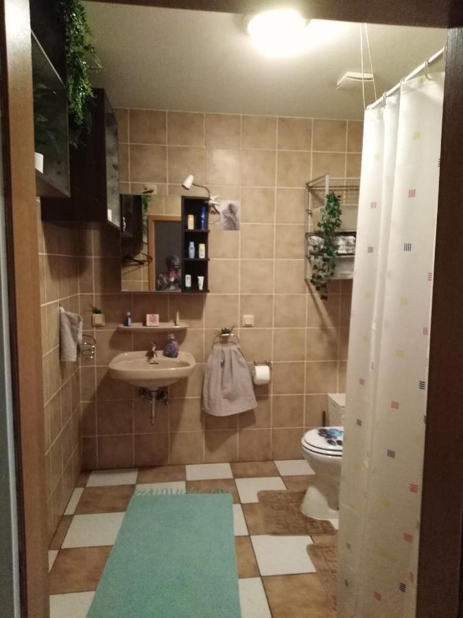Appartement Studiowohnung, Neu Renoviert, Zentrale Lage